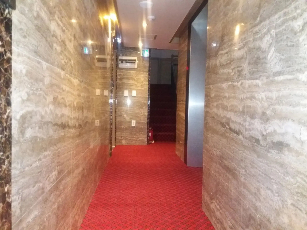 Daeyoung Hotel Myeongdong