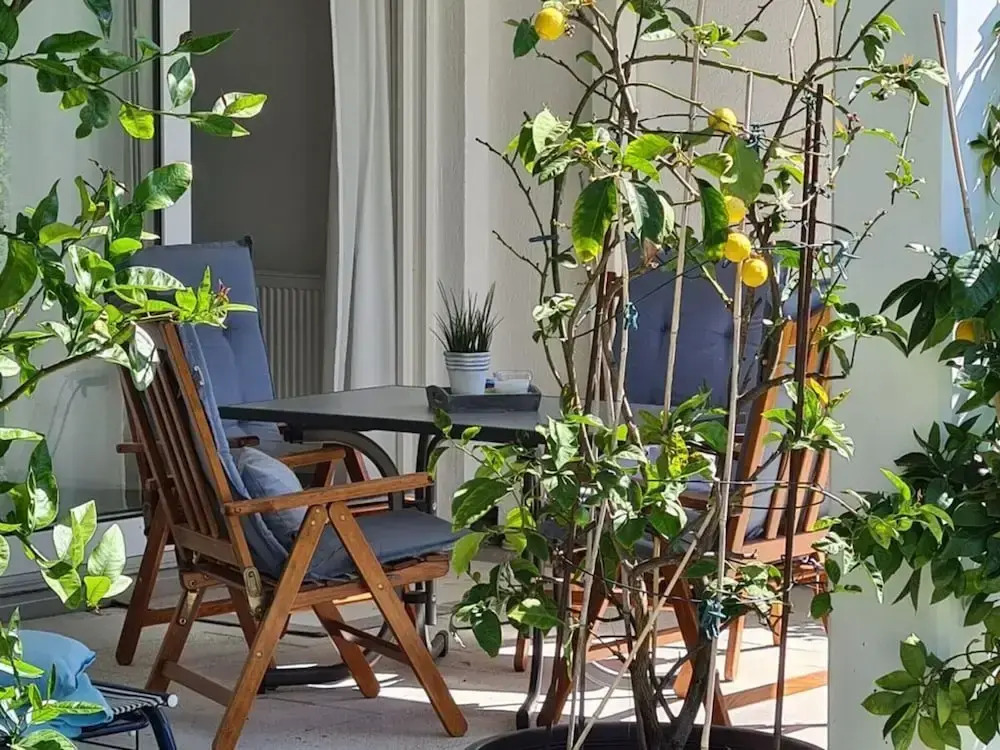 Holiday Apartment Auszeit
