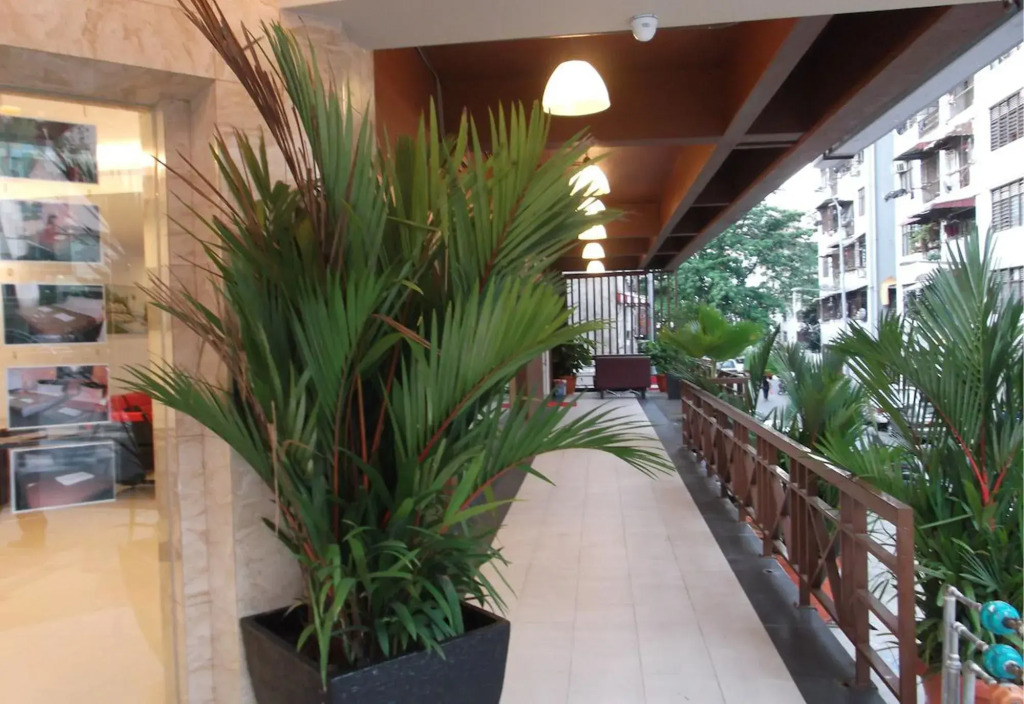 Hotel Bintang