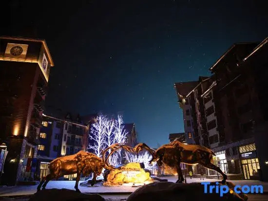 Fenghua Apartment (Jilin Vanke Songhua Lake Resort)