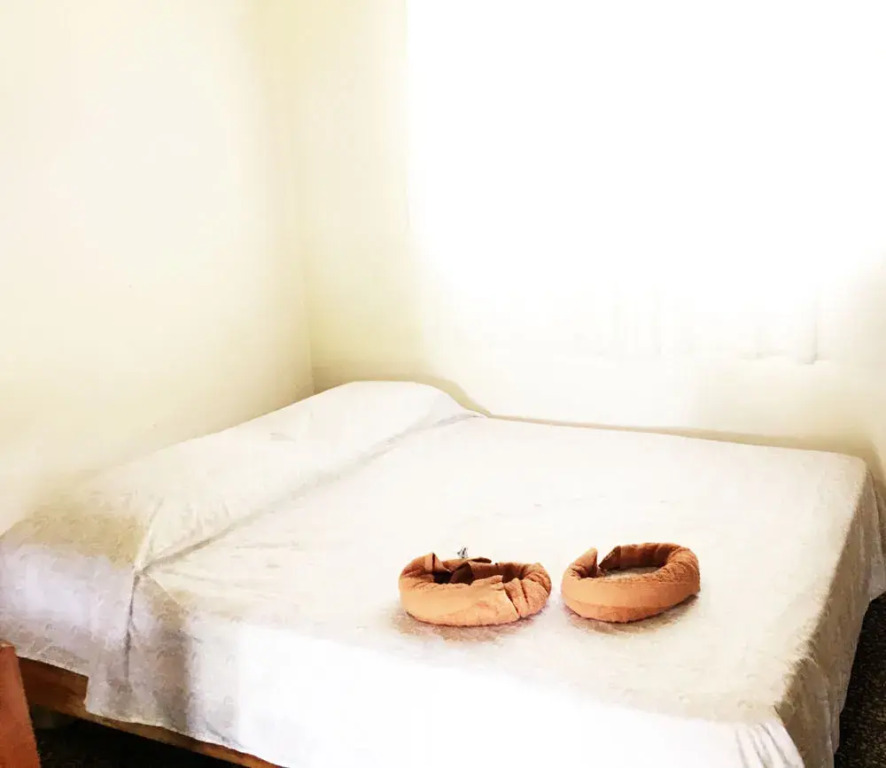 Tsunami Hostel