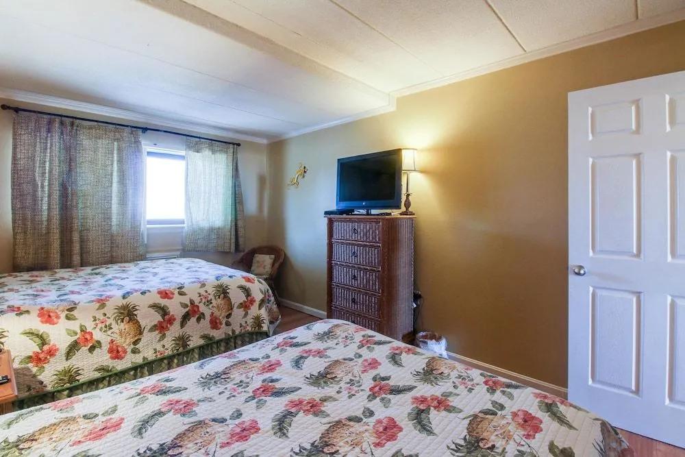 Constellation House