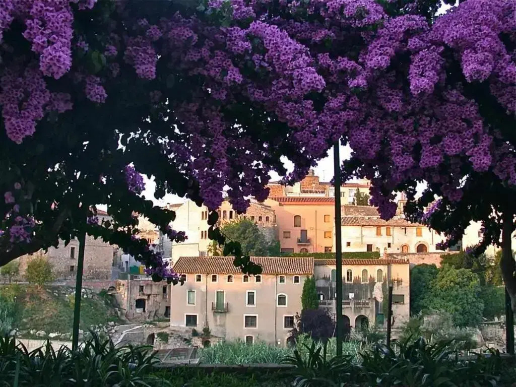 Hotel rural HD Riudebitlles - art i allotjament