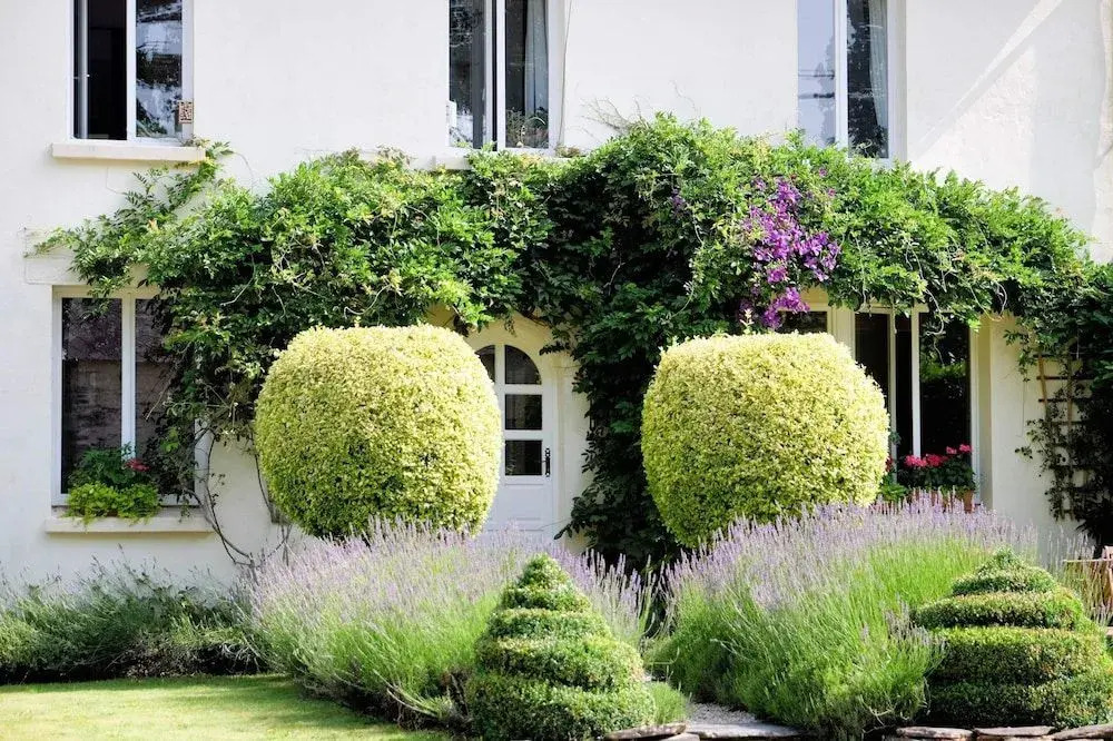 B&B St Emilion Braz
