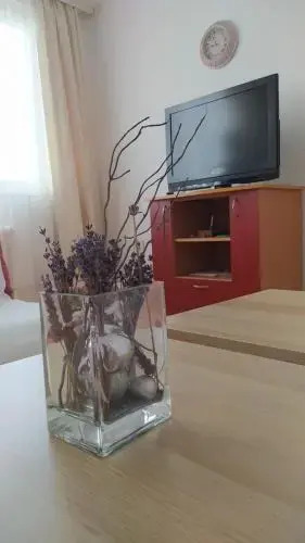 Apartment Mara