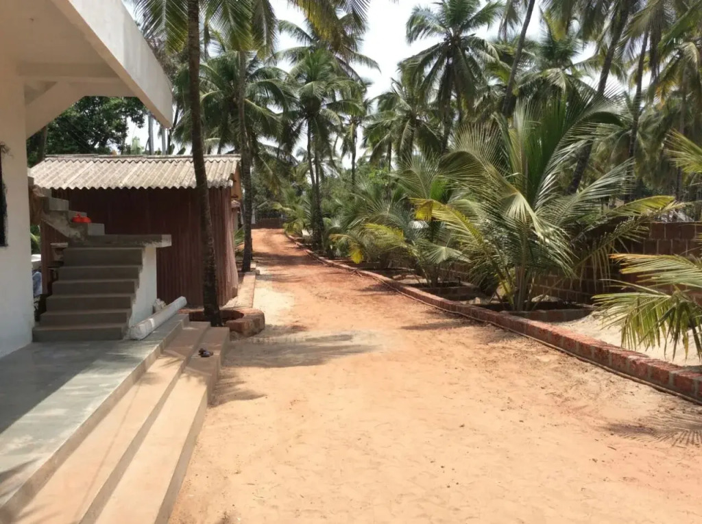 Blue Sea Beach Resort