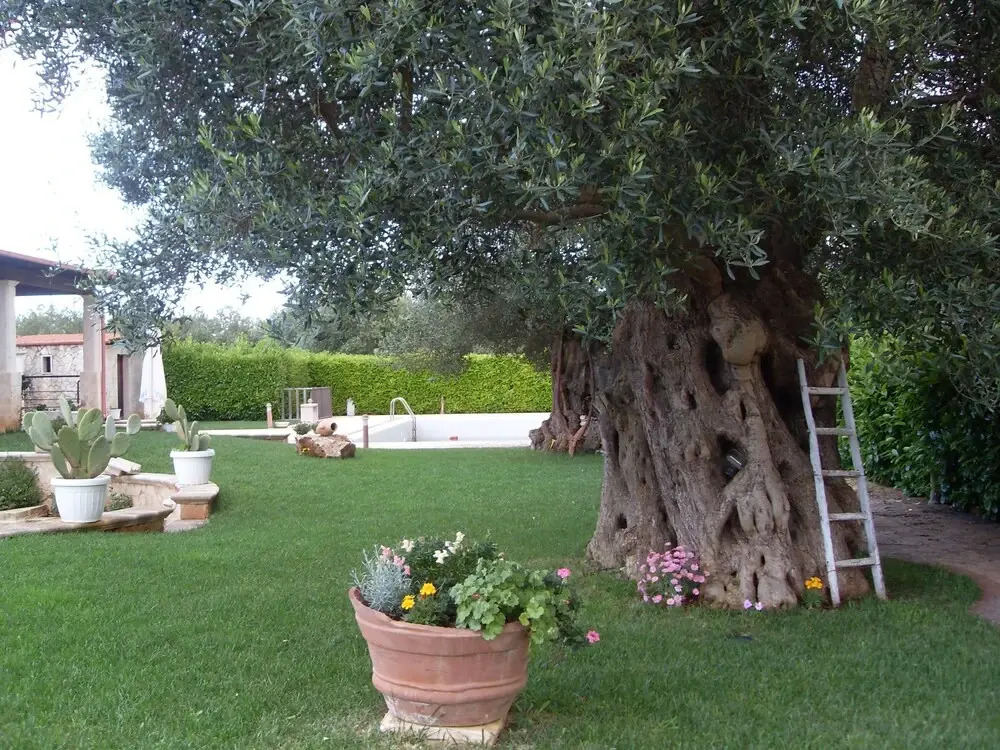 B&B Pietrafitta