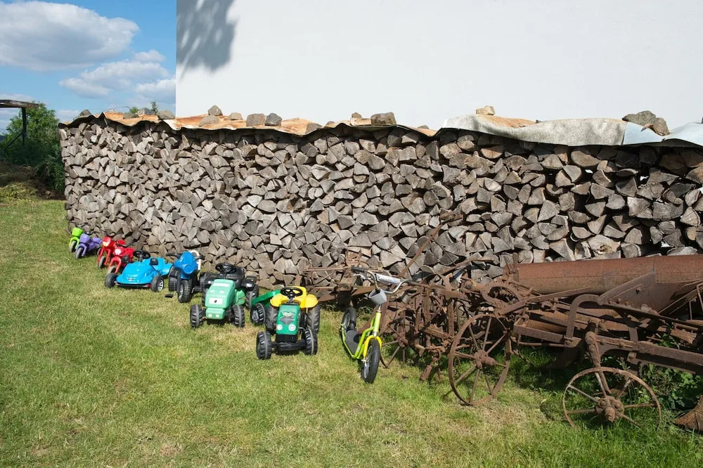 Mnichovo Hradiste Svk405