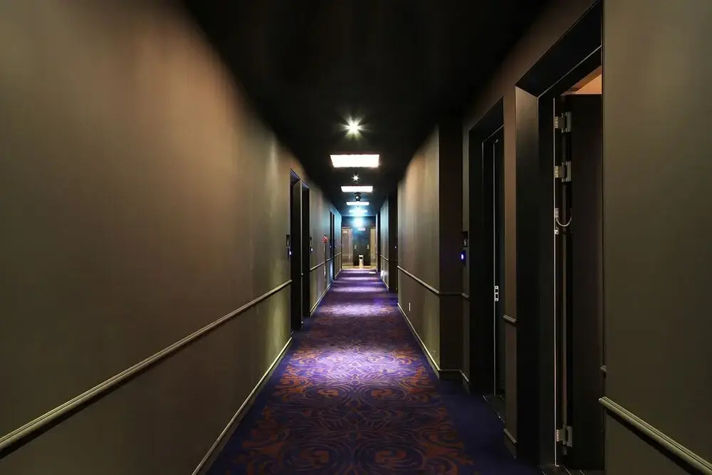 Desing Hotel Vine
