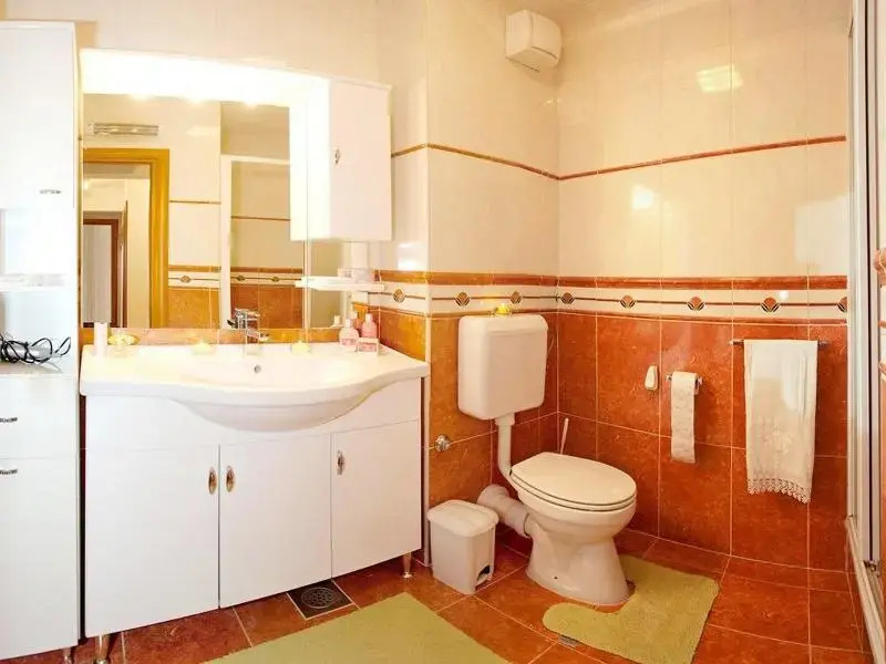 Apartment Branka