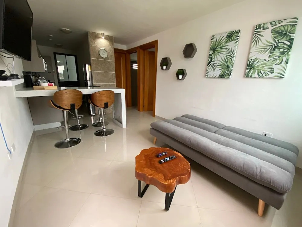 Apt 1 BR 1BT cerca de zona centro