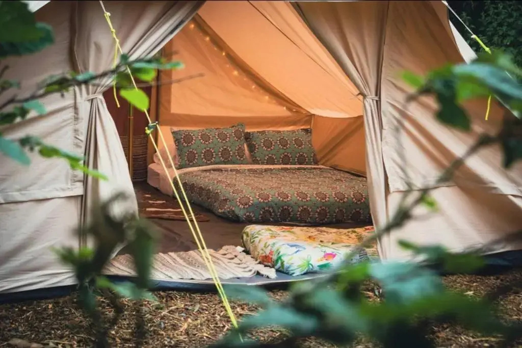 Wood Cabin & 4 Large Bell Tents - Hapus Hideaway
