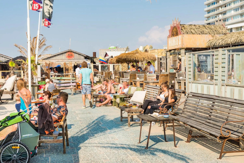Cute Beach House Zandvoort