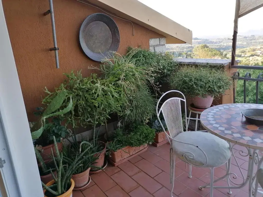 B&B L'Uliveto