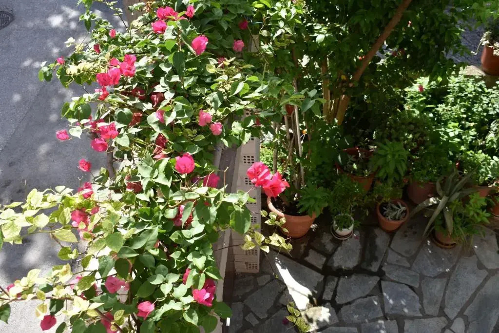 Polemarhos Guest House 8