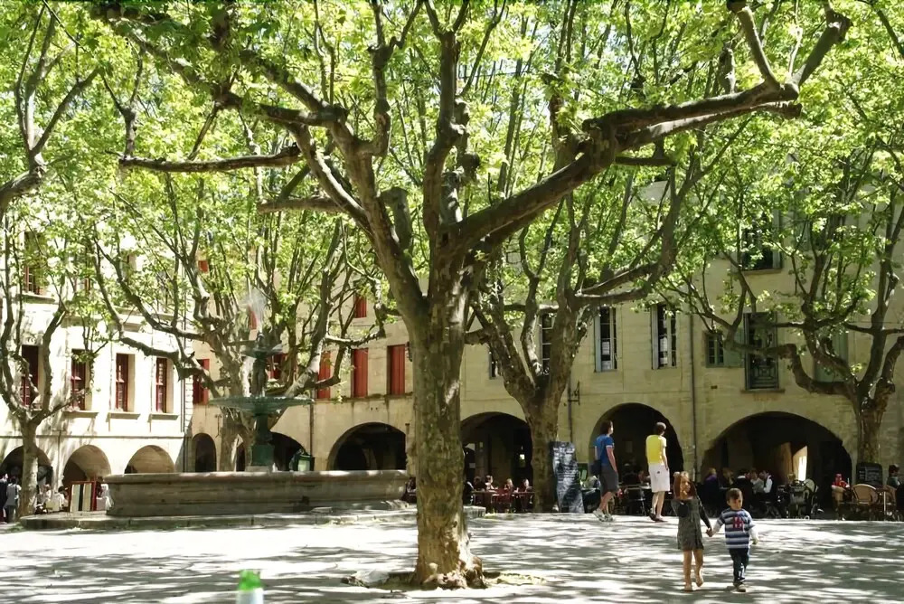 Grand Travers - Location vacances avec piscine proche d'Uzès - Gard -