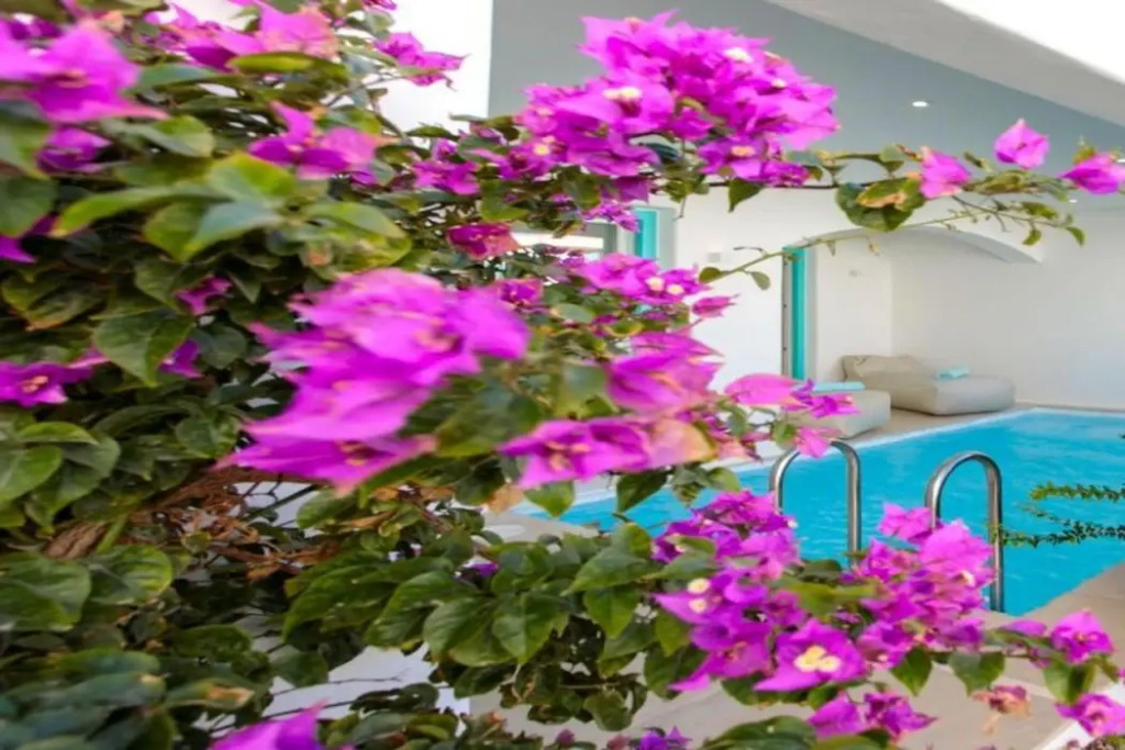 Majo Suites Hotel