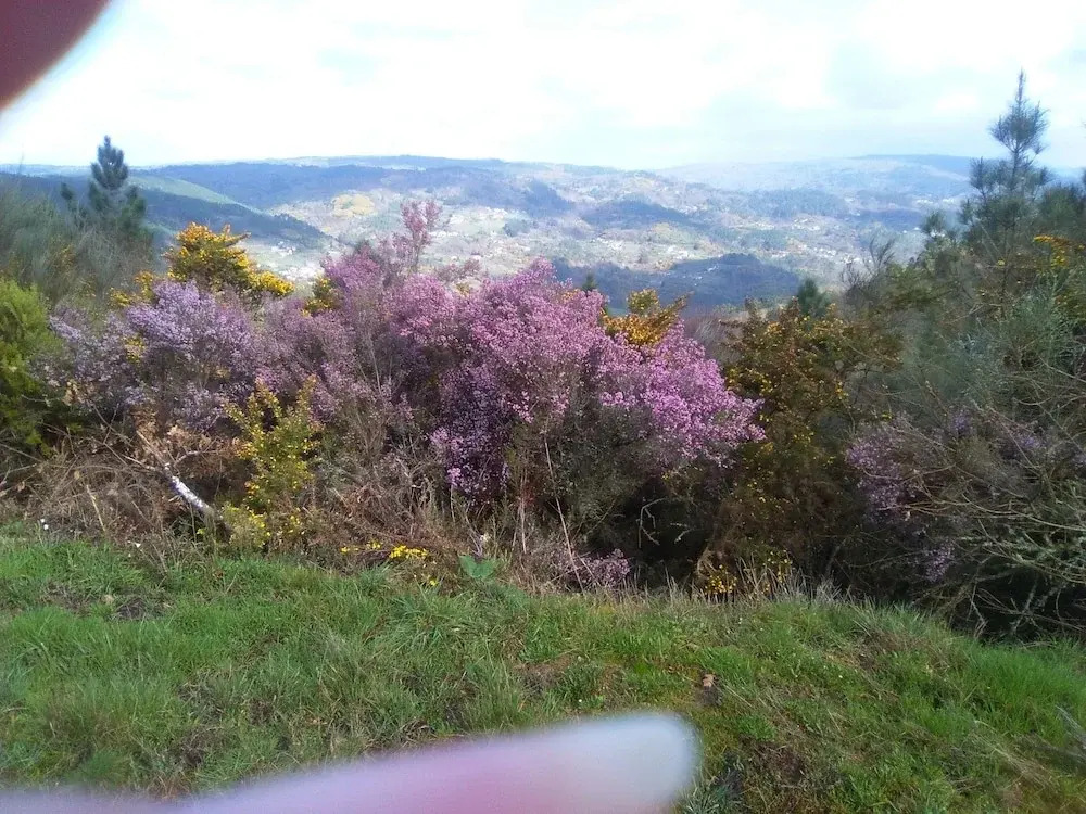 Casa da Viña - Ribeira Sacra
