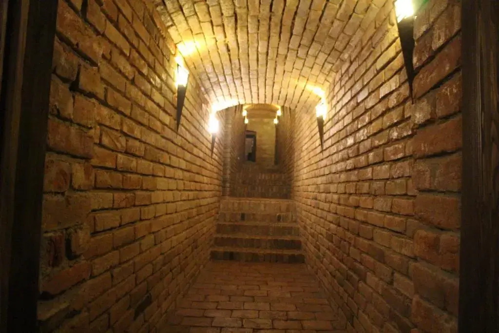 Hotel Černý kůň