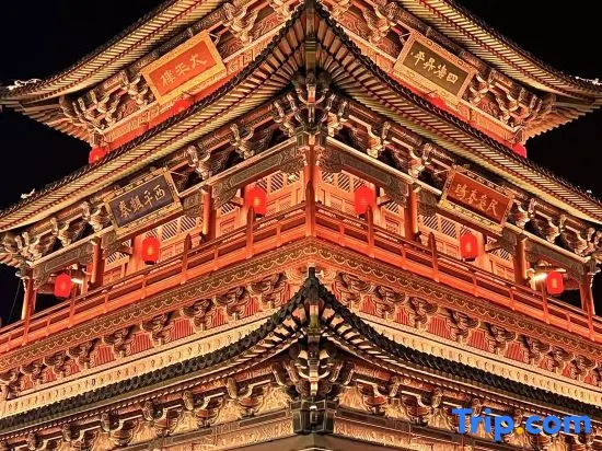 City Light Homestay (Datong University Branch)