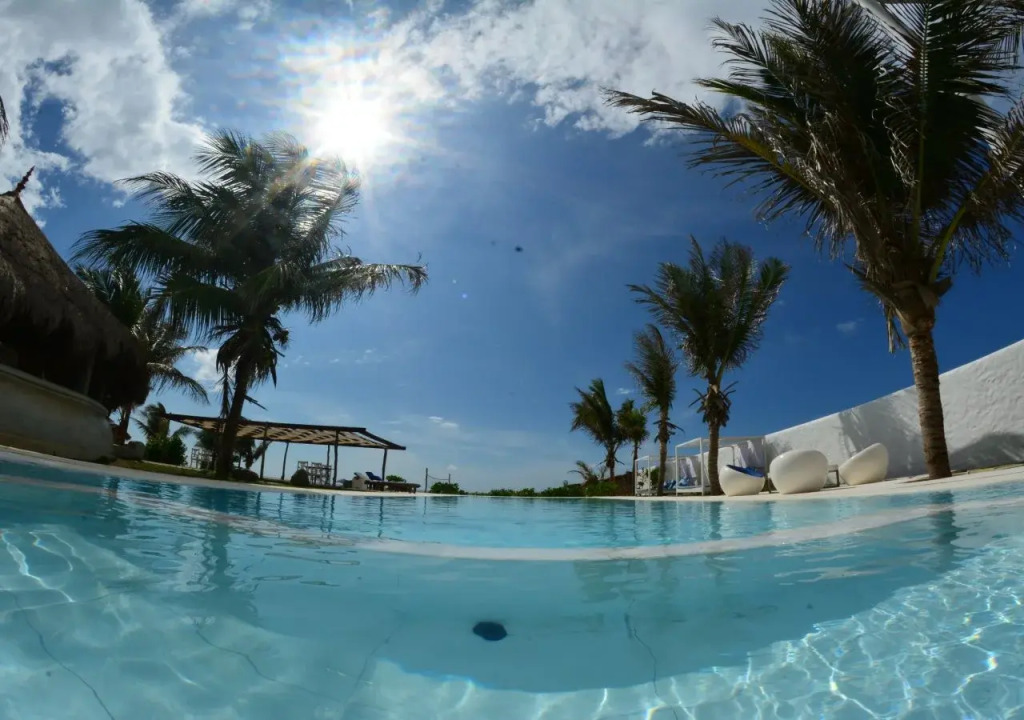 Dolphin Beach Resort - Dolphins, Kitesurfing & Wildlife