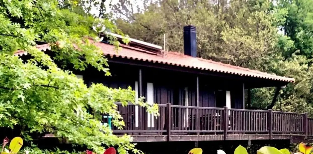 Tree Pool Villa