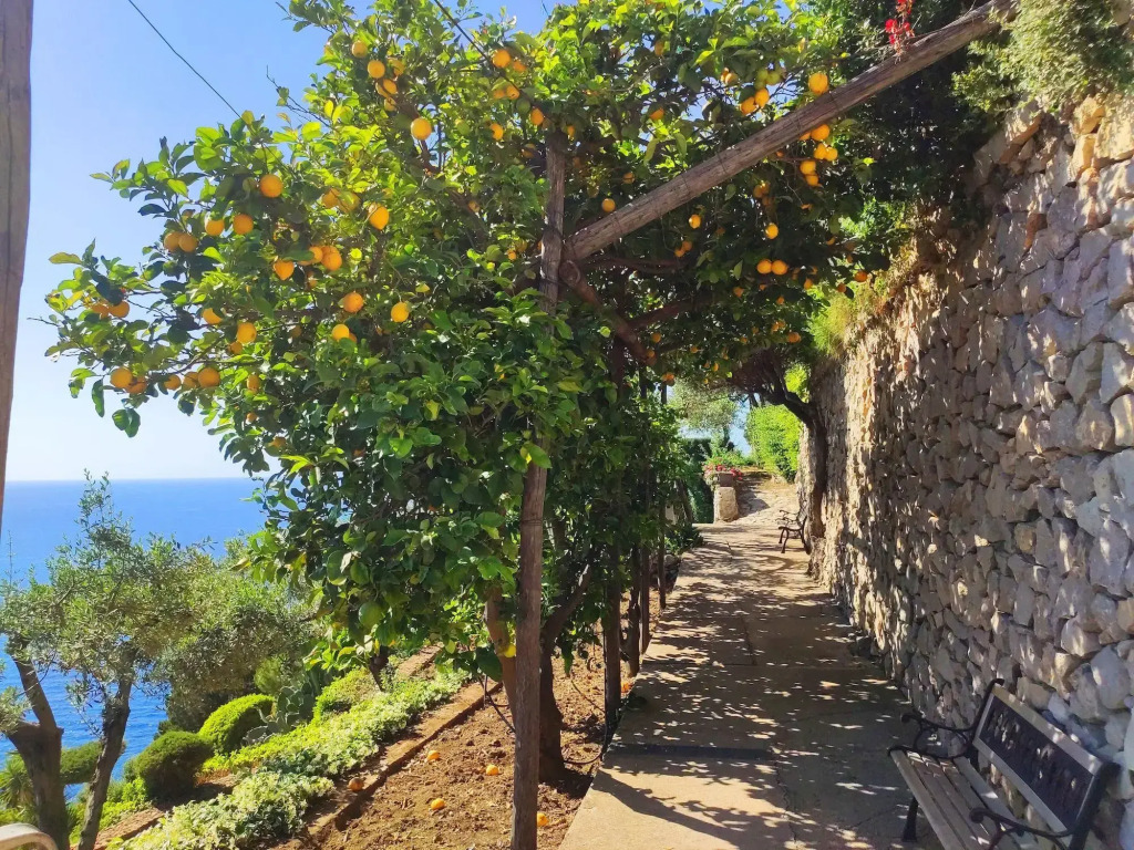 Casa Orrico - Blue Grotto