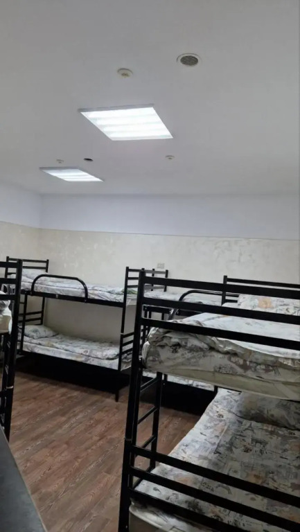 Art Galery Hostel