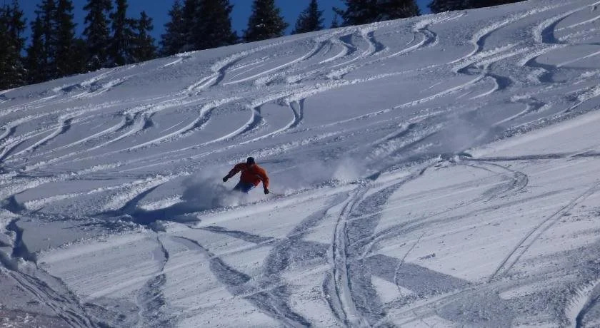 Hotel Koralpe