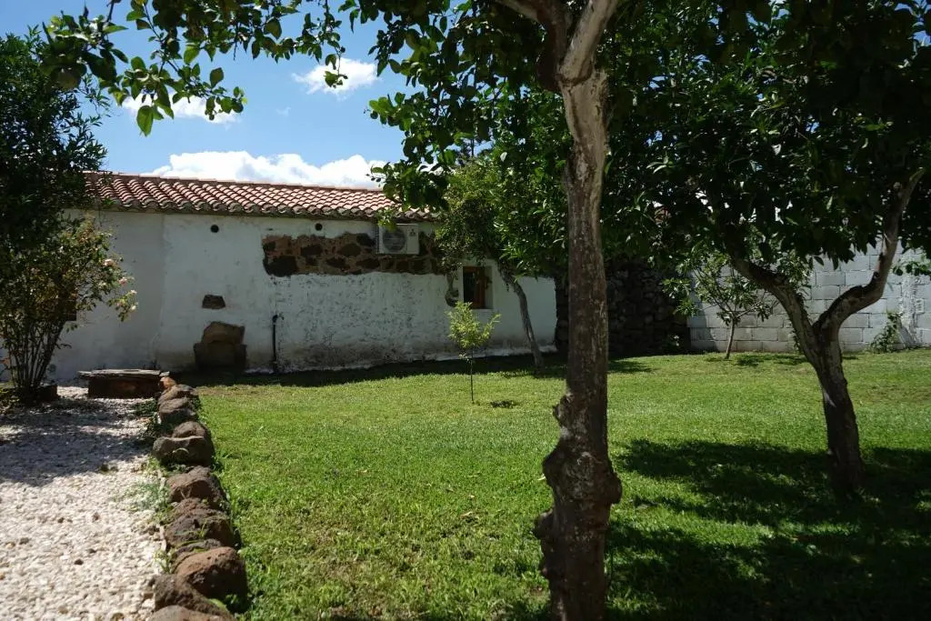 B&B Catedda