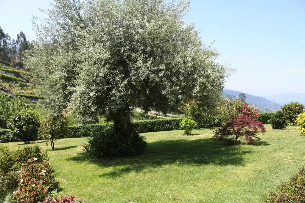 Quinta do Bento