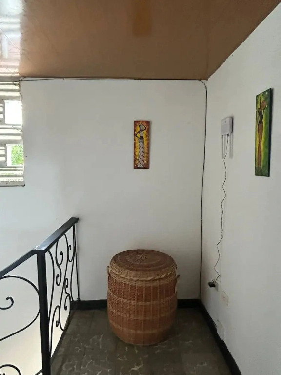 The Cats Nail House