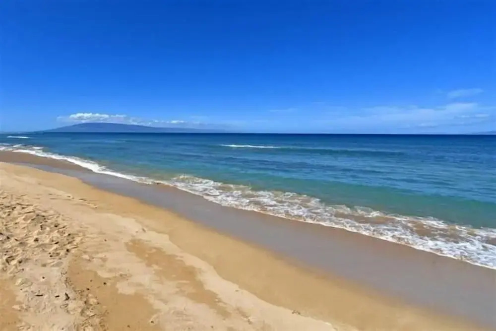 Kaleialoha 106 Ocean Front 1bd/1ba 1 Bedroom Condo by RedAwning