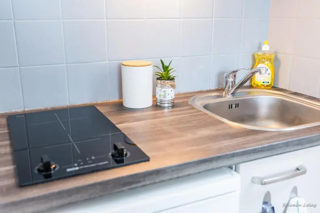 Appartement T2 - Proche Gare - Bord de Vilaine