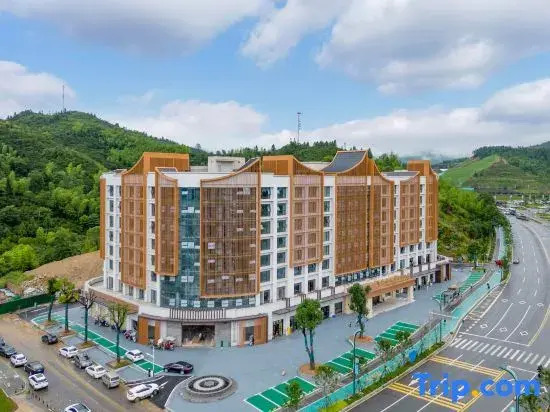 Vienna International Hotel (pingxiang Wugong Mountain Visitor Center)