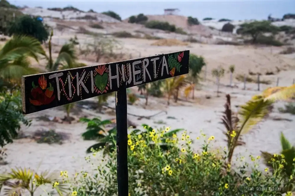 Tiki Surf House - Hostel