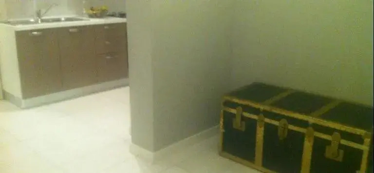 Luxury Apartment
