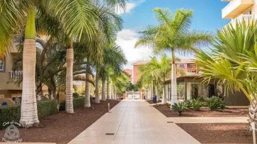 Apartment In Palm Mar Pm 195
