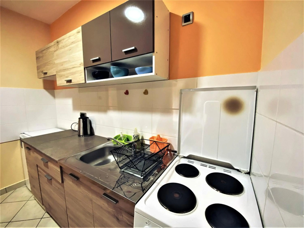 Apartment Vas Raj