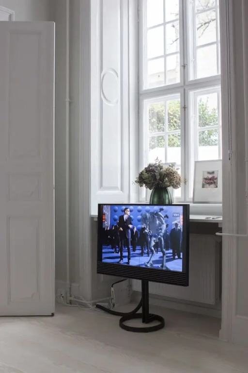 Luxury Apartment in Copenhagen 1184-1