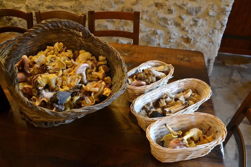 Agriturismo Surripa
