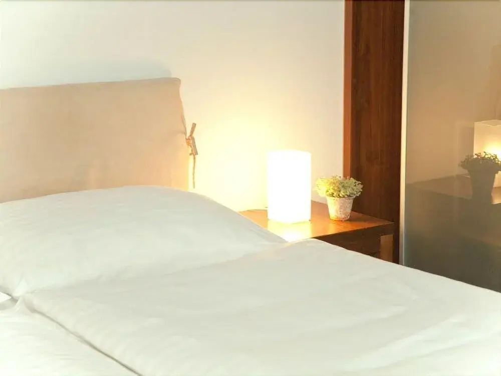 Hotel Hillinger