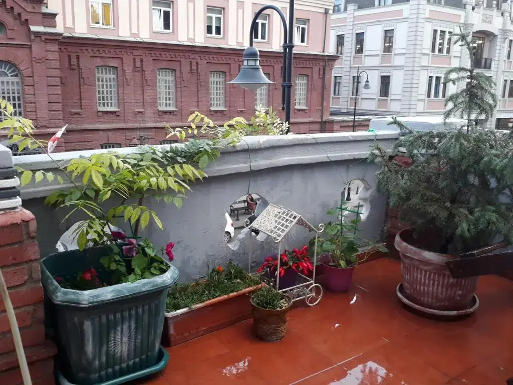 Salve veranda