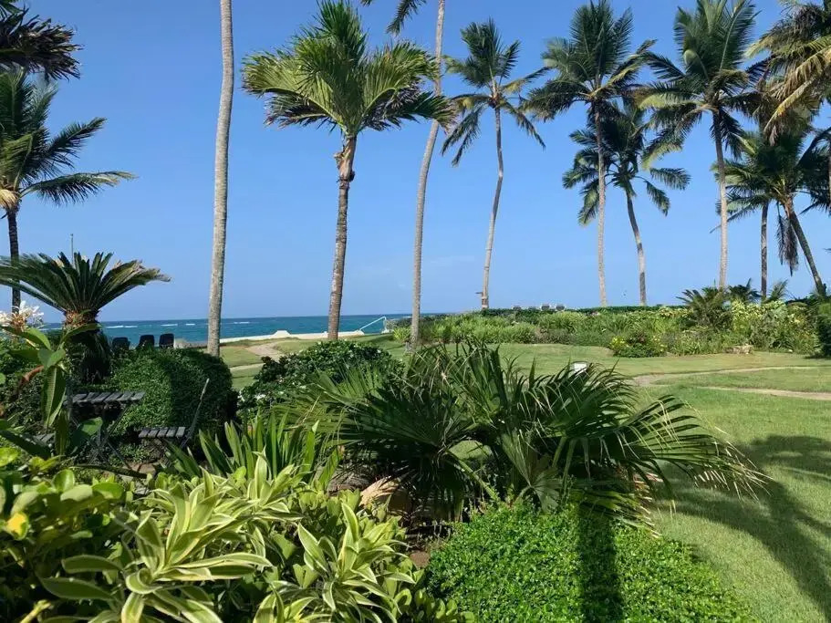 Cabarete Beachfront Condos Nanny Estate A7