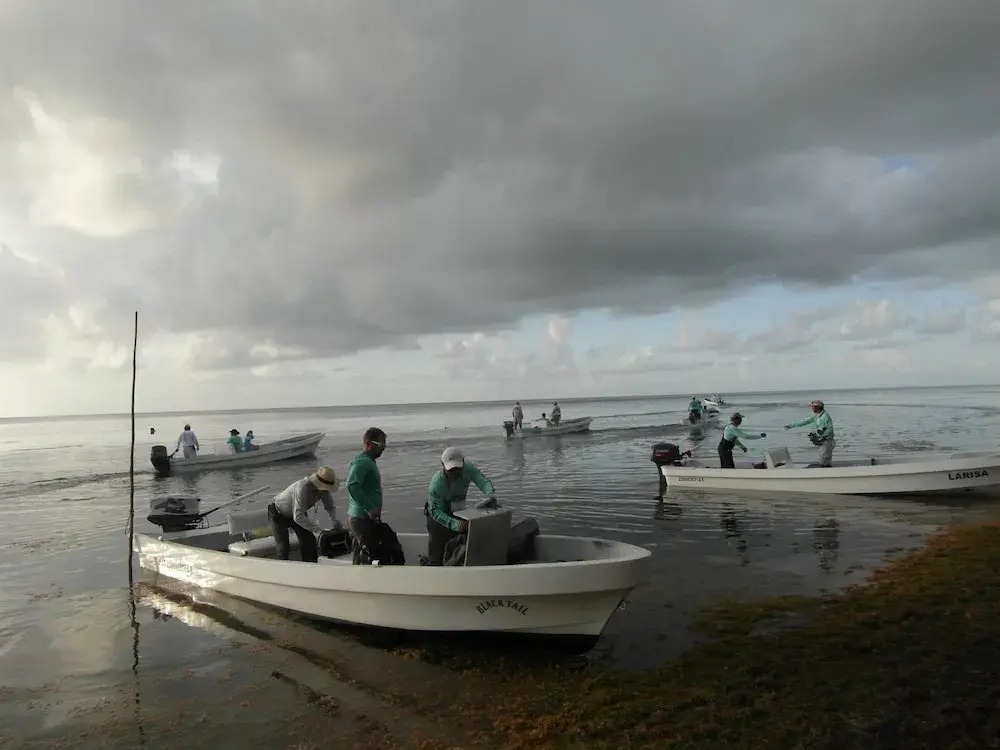 Xcalak Caribe Lodge