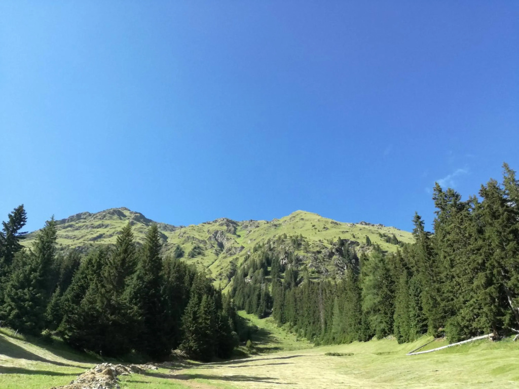 Bichlerhof