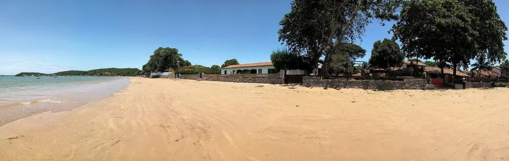 Yucas