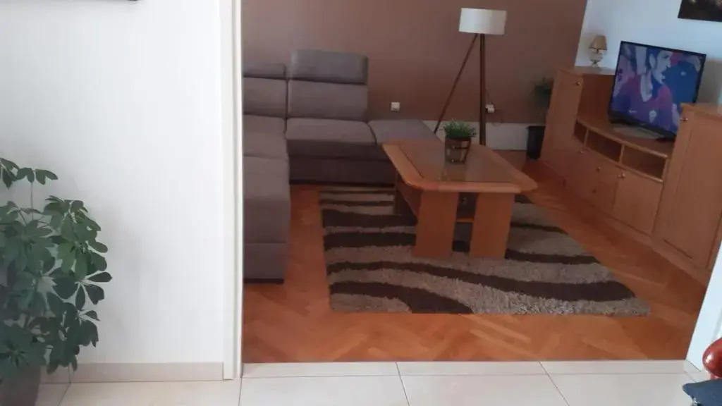 Apartment Viki