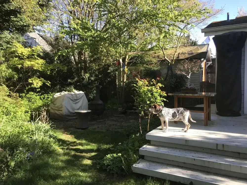 Zen Retreat - Private home - Very Unique
