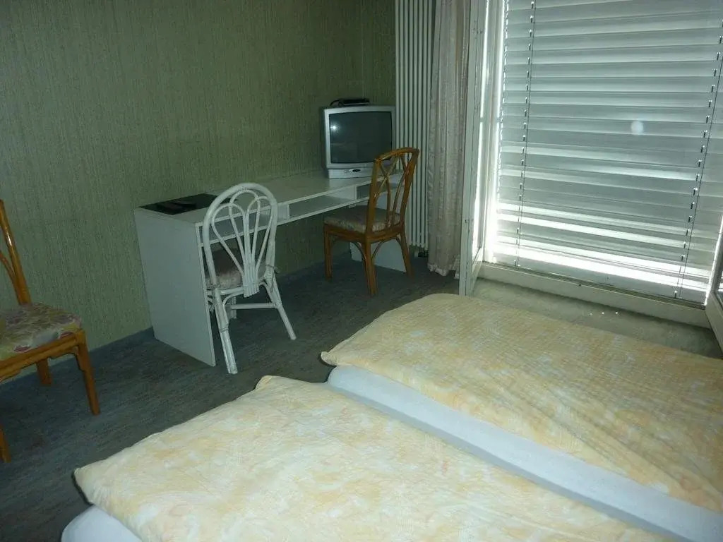 Hotel du Lac
